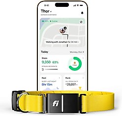 Fi Series 3 Kit Dog GPS Tracking Collar, Yellow, X-Large: 20 to 30-in neck, 1-in wide