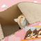Show in main carousel: Happy & Polly Corrugated Cardboard Donut Car Cat Scratcher Toy slide 7 of 9