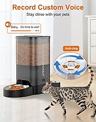 HONEYGUARDIAN WiFi Smart Feed Automatic Cat Feeder, 5-liter, Black slide 2 of 6