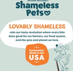 Shameless Pets Dental Sticks Carrot & Mint Dog Treats, 8 count slide 2 of 8