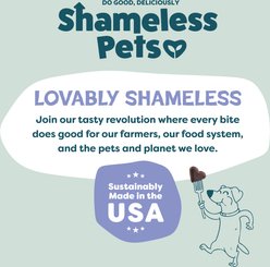 Shameless Pets Blueberry & Mint Soft Baked Dog Treats, 6-oz bag slide 2 of 8