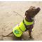 Show in main carousel: SafetyPUP XD Urban Reflective Dog Vest, Yellow, X-Large slide 7 of 10