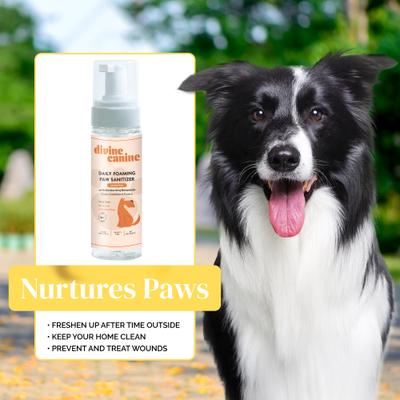 Show full view: Divine Canine Lick-Safe Daily Foaming Dog Paw Sanitizer, 1.7-oz bottle slide 6 of 9