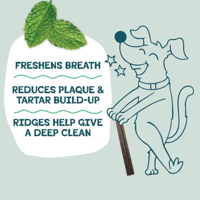 Show full view: Shameless Pets Dental Sticks Carrot & Mint Dog Treats, 8 count slide 5 of 11