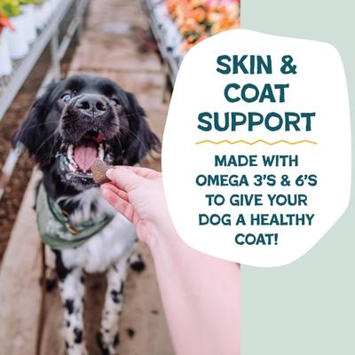 Show full view: Shameless Pets Bacon, Banana, & Peanut Butter Soft Baked Dog Treats, 6-oz bag slide 6 of 11