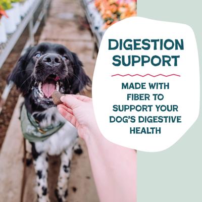 Show full view: Shameless Pets Duck & Beet Soft Baked Dog Treats, 6-oz bag slide 6 of 11