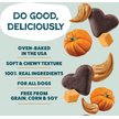 Show in main carousel: Shameless Pets Peanut Butter & Pumpkin Soft Baked Dog Treats, 6-oz bag slide 4 of 11