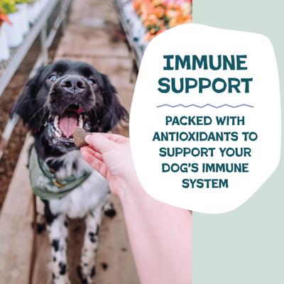 Show full view: Shameless Pets Blueberry & Mint Soft Baked Dog Treats, 6-oz bag slide 6 of 11