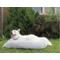 Show in main carousel: Dog Palace Deluxe Calming Dog Bed, Light Grey, Large slide 5 of 6