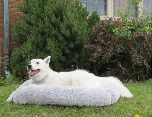 Show full view: Dog Palace Deluxe Calming Dog Bed, Light Grey, Large slide 5 of 6