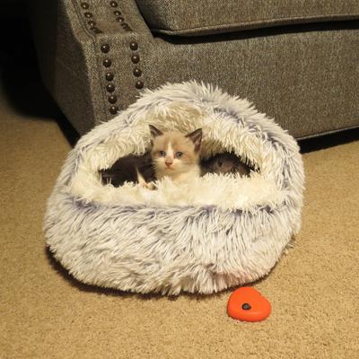 Show full view: Dog Palace Nursery Anti-Anxiety Covered Dog & Cat Bed, Light Grey slide 5 of 7