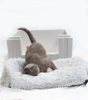 Show full view: Dog Palace Cat Palace Insulated Cat House with Calming Bed slide 9 of 10