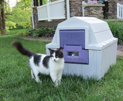 Show full view: Dog Palace Cat Palace Insulated Cat House with Calming Bed slide 6 of 10