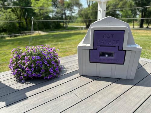 Show full view: Dog Palace Cat Palace Insulated Cat House with Calming Bed slide 7 of 10