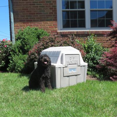 Show full view: Dog Palace Hunter Insulated Dog House with Calming Bed slide 4 of 5