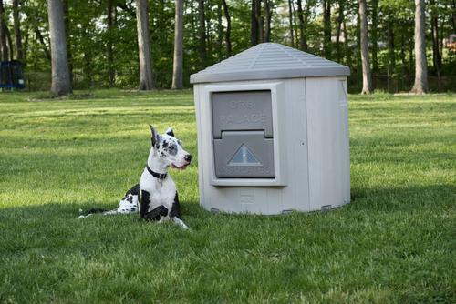 Show full view: Dog Palace CRB Palace Insulated Dog House with Calming Bed slide 6 of 11