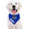 Show in main carousel: Pets First NCAA Florida Gators Personalized Dog Bandana, Small/Medium slide 3 of 5