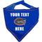 Show in main carousel: Pets First NCAA Florida Gators Personalized Dog Bandana, Small/Medium slide 1 of 5