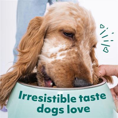 Show full view: Optimeal Small Breed Variety Pack Non-GMO Wet Dog Food, 3-oz pouch, case of 12 slide 5 of 8