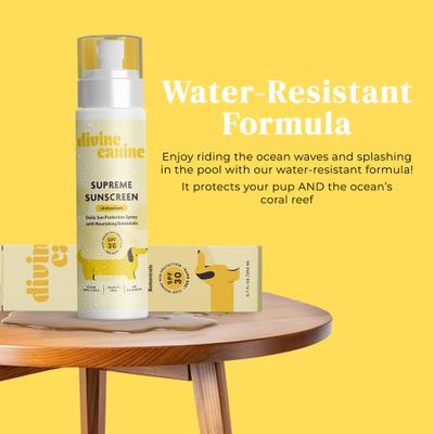 Show full view: Divine Canine Daily Supreme + Antioxidants SPF 30 Dog Sunscreen, 3.4-fl oz spray slide 4 of 9