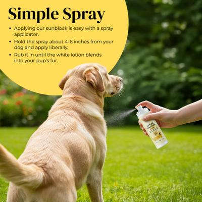 Show full view: Divine Canine Daily Supreme + Antioxidants SPF 30 Dog Sunscreen, 3.4-fl oz spray slide 8 of 9