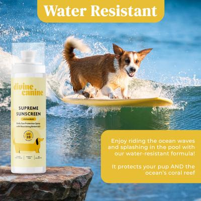 Show full view: Divine Canine Daily Supreme + Antioxidants SPF 30 Dog Sunscreen, 3.4-fl oz spray slide 6 of 9