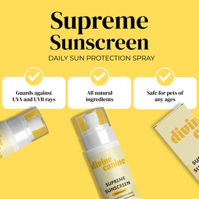 Show full view: Divine Canine Daily Supreme + Antioxidants SPF 30 Dog Sunscreen, 3.4-fl oz spray slide 3 of 9