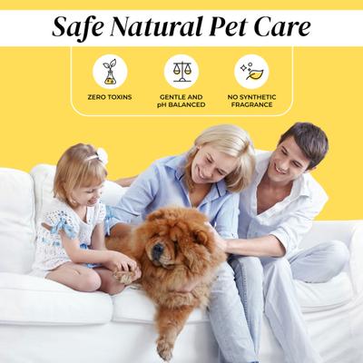 Show full view: Divine Canine Lick-Safe Daily Foaming Dog Paw Sanitizer, 1.7-oz bottle slide 7 of 9