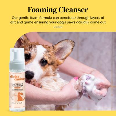 Show full view: Divine Canine Lick-Safe Daily Foaming Dog Paw Sanitizer, 1.7-oz bottle slide 3 of 9