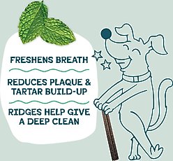 Shameless Pets Blueberry & Mint Dental Dog Treats, 32 count slide 2 of 8