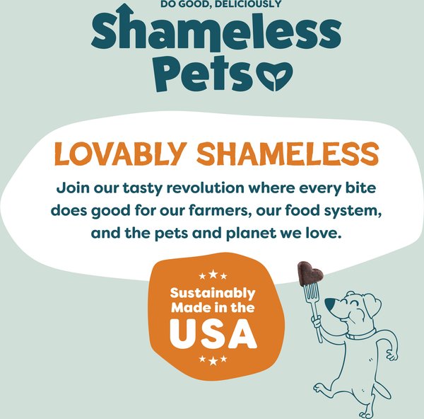 Show full view: Shameless Pets Peanut Butter & Pumpkin Soft Baked Dog Treats, 6-oz bag slide 9 of 11