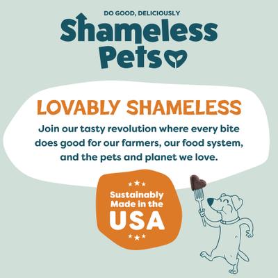 Show full view: Shameless Pets Peanut Butter & Pumpkin Soft Baked Dog Treats, 1-lb bag slide 9 of 11