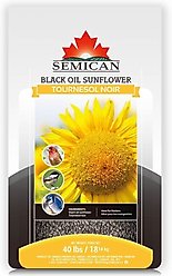 Semican Black Oil Sunflower Wild Bird Food, 40-lb bag