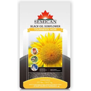 Semican Black Oil Sunflower Wild Bird Food, 20-lb bag