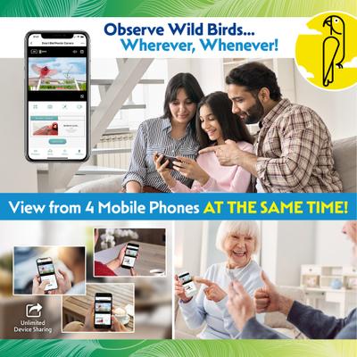 Show full view: Caitec Featherland Paradise Smart AI Recognition House Hopper Bird Feeder slide 6 of 10