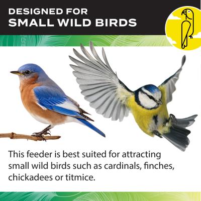 Show full view: Caitec Featherland Paradise Smart AI Recognition House Hopper Bird Feeder slide 8 of 10