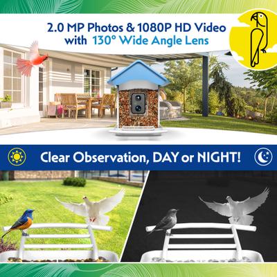 Show full view: Caitec Featherland Paradise Smart AI Recognition House Hopper Bird Feeder slide 5 of 10