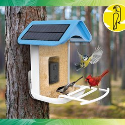 Caitec Featherland Paradise Smart AI Recognition House Hopper Bird Feeder slide 2 of 9
