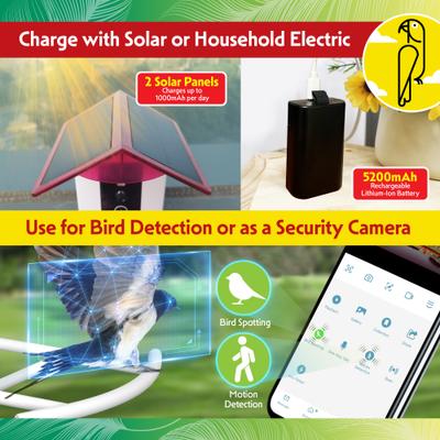 Show full view: Caitec Featherland Paradise Smart House Hopper Hummingbird Feeder slide 8 of 10