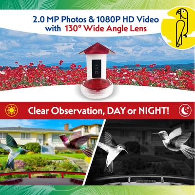 Show full view: Caitec Featherland Paradise Smart House Hopper Hummingbird Feeder slide 6 of 10