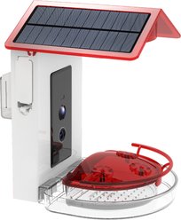 Caitec Featherland Paradise Smart House Hopper Hummingbird Feeder