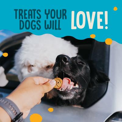 Show full view: Earthborn Holistic Salmon Flavored Crunchy Dog Treats, 2-lb bag slide 7 of 8