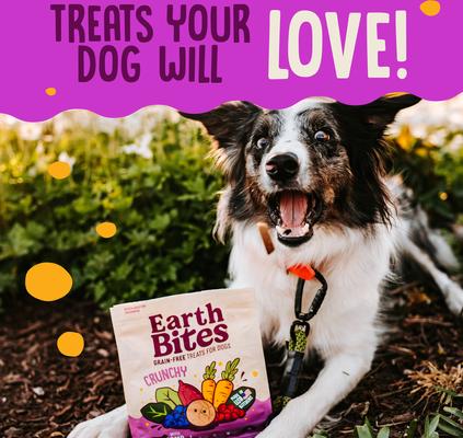 Show full view: Earthborn Holistic Lamb Flavored Crunchy Dog Treats, 2-lb bag slide 7 of 8