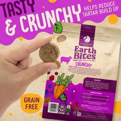 Earthborn Holistic Lamb Flavored Crunchy Dog Treats, 2-lb bag slide 2 of 6
