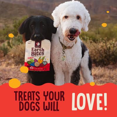 Show full view: Earthborn Holistic Bison Flavored Crunchy Dog Treats, 2-lb bag slide 7 of 8