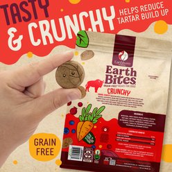 Earthborn Holistic Bison Flavored Crunchy Dog Treats, 2-lb bag slide 2 of 6