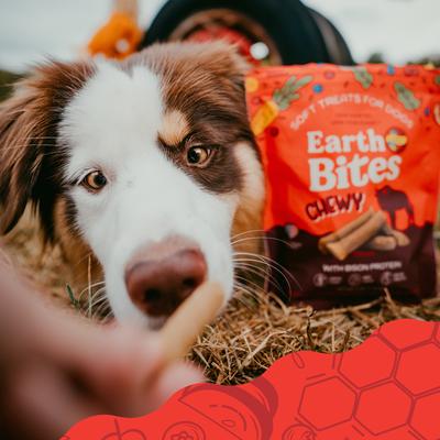 Show full view: Earthborn Holistic Earthbites Bison Flavored Grain-Free Soft & Chewy Dog Treats, 7-oz bag slide 7 of 8