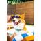 Show in main carousel: POSE PETS Solid Dog Sunglasses, Sunrise, Medium slide 2 of 9