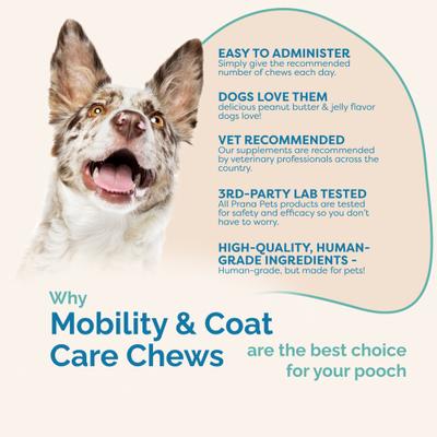 Show full view: Prana Pets Mobility & Coat Care Chews Joint Supplement for Dogs, 90 count bag slide 6 of 10