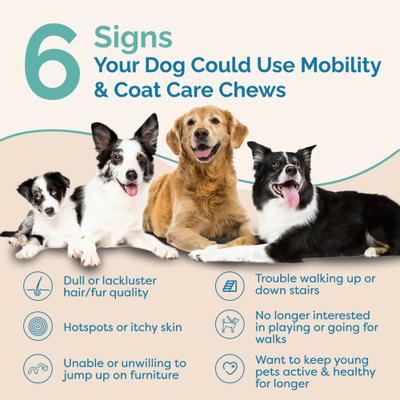 Show full view: Prana Pets Mobility & Coat Care Chews Joint Supplement for Dogs, 90 count bag slide 4 of 10